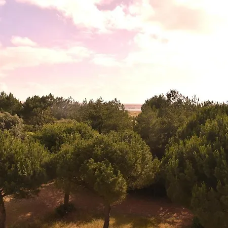 Ermitage Vue Et Pinede Saint-Brévin-lʼOcéan